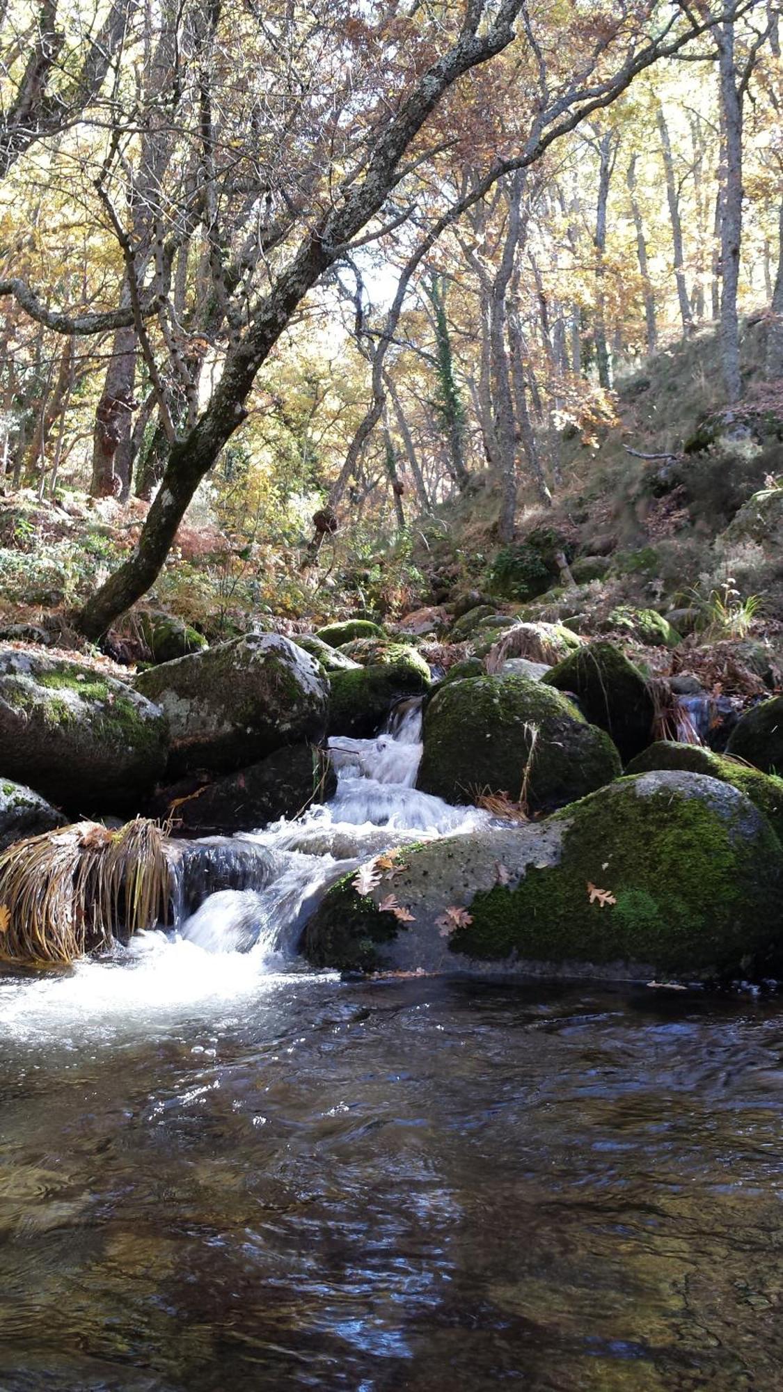 Casa Rural Con Encanto "Los Postigos" Banos De Montemayor Dış mekan fotoğraf